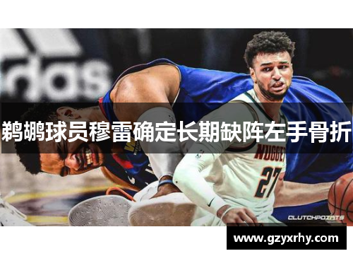 鹈鹕球员穆雷确定长期缺阵左手骨折